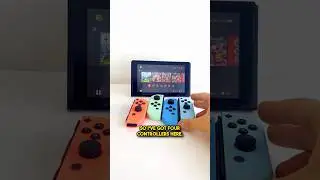 INSANE Switch Easter Egg?!  