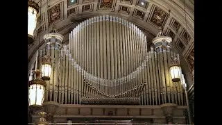 Organ Sound Test