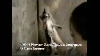 MMVI Discovery Communications Incorporated All Rights Reserved (Animal Cops Houston Ending)