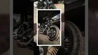 #HarleyDavidson: подарок владельцу! 🏍️ 📸 #youtubeshorts #photography