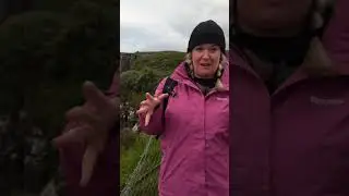 Dinosaurs in Scotland?!🏴󠁧󠁢󠁳󠁣󠁴󠁿 #travelvlog #scotland #travel