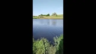 Рыбы в пруду валом, но клева нет.
