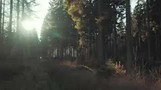 19 день воздержания, поллюция, эро сны и новая энергия!