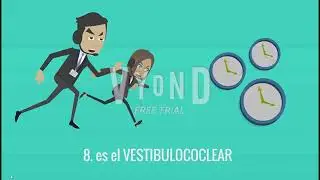 La mejor canción de pares craneales
