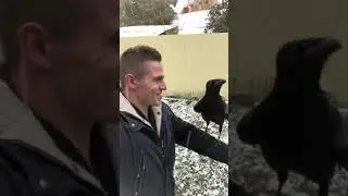 Первый снег