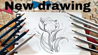 Flower drawing easy || flower drawing for a kids . flower sketch
