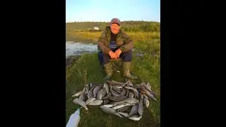 Секретный мой материал.Просто бомбический.