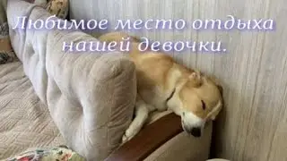 Любимое место