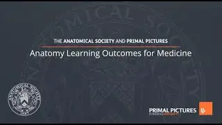 Primal's Anatomy Learning Outcomes for Medicine - demo