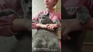Его авторитет был огромный , вся Питерская братва обращалась к нему на вы.