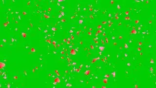 Heart Shower Green Video Part:-2 Pragya Green Video #green #greenscreen #greenscreenvideo