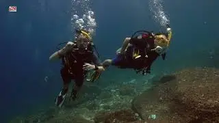 Дайвинг на Пхукете с дайв-клубом DVdiver