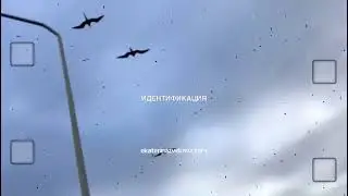 ИДЕНТИФИКАЦИЯ 🎭