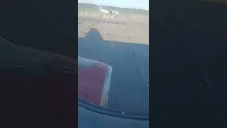 Полетели в Питер на марафон "Белые ночи"