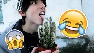 Momente amuzante cu Ilie's Vlogs! Provocari nebune!