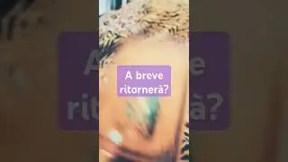 Ritornerà  a breve? 