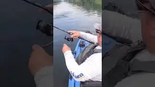 Kayak Fishing Bass on a Temu Wakebait Duck! #fishing #bassfishing #kayakfishing