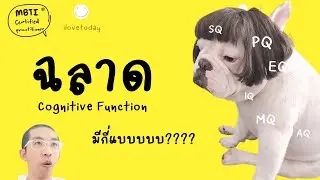 ความฉลาดแบบต่างๆ และ Cognitive Function : MBTI ilovetoday วันนี้ดีที่สุด