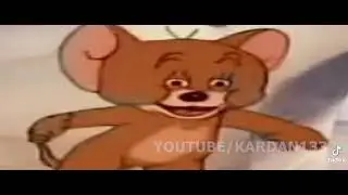 шутки из тик тока.