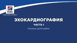 Вебинар на тему: «Эхокардиография. Часть 1». Лектор – Татьяна Дорошина