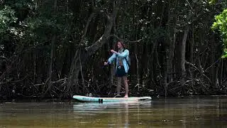 THE GIVING TREES 🌳 🌊  #shortfilm #filmmaker #marineconservation