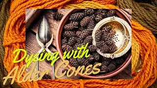 How to Dye with Alder Cones | Catkins