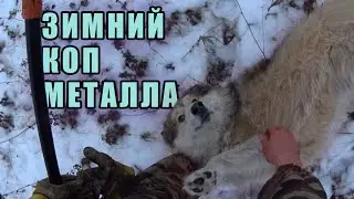 ПРИЕХАЛ ЗАБРАТЬ КУЧУ С МЕТАЛЛОМ! ЗАРАБОТАТЬ НА КОПЕ МЕТАЛЛА ЗИМОЙ МОЖНО, ЕСЛИ ПОВЕЗЕТ! КОП МЕТАЛЛА
