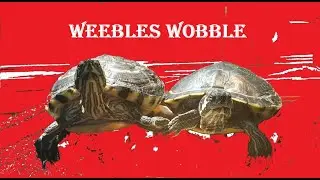 Weebles Wobble