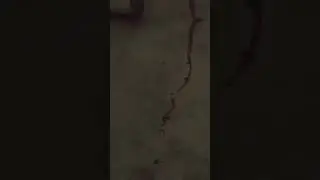#мем