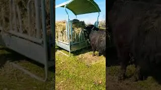 4 Aprile 2024