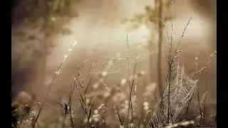 Сырозябка. Сказка. Читает автор Илика