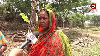 ଏଥର ଫୁଲ ଆସିବ
