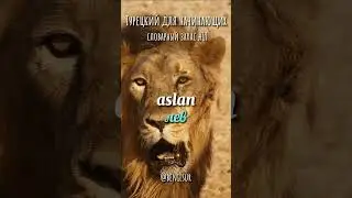 🇹🇷 Словарный запас турецких слов ч.19 