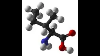 REACTION MECHANISMS (organic chemistry)