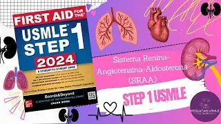 Sistema Renina Angiotensina Aldosterona (Renin–angiotensin system)