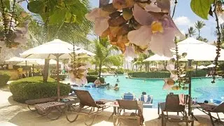 Dreams Palm Beach Punta Cana 2015 | RuthvonG
