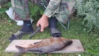 как почистить и разделать леща