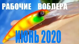 Обзор Рабочих Воблеров Июнь 2020