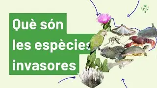 Què son les espècies exòtiques i invasores?
