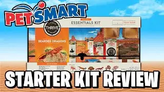 Petsmart Thrive Bearded Dragon Starter Kit Review