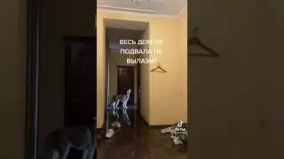 21 марта 2022 г.