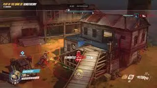 widow  play