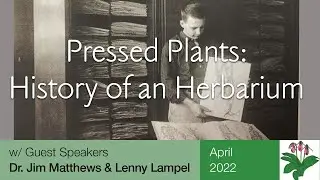 Pressed Plants: Biological - Southern Piedmont Chapter - April 2022