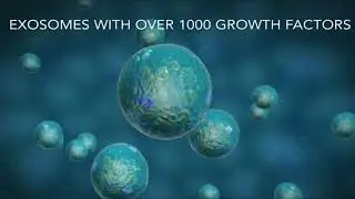 Exosome Treatments at Tunc Tiryaki Clinics