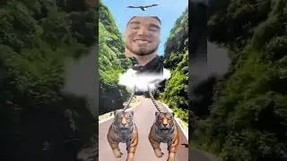 плаке плаке нармалдаке
