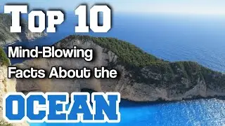 Top 10 Facts about ocean 