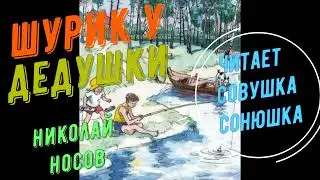 Николай Носов   Шурик у дедушки