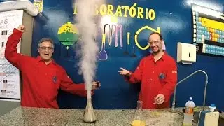 #5 The Amazing Genie in a Bottle I H2O2 + KMnO4 vs. H2O2 + KI - Which reaction releases more smoke?