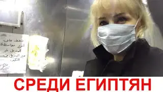 СРЕДИ ЕГИПТЯН ❌ ЖИЗНЬ КАК ЕСТЬ