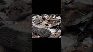Повне відео на ютуб каналі #пошукзагиблих